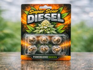 Custom eco-friendly paper tube packaging with gold foil accents, perfect for luxury Abaya branding and high-end fashion boutiques.